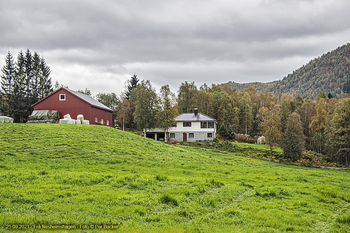 Frå Nesheimshagen