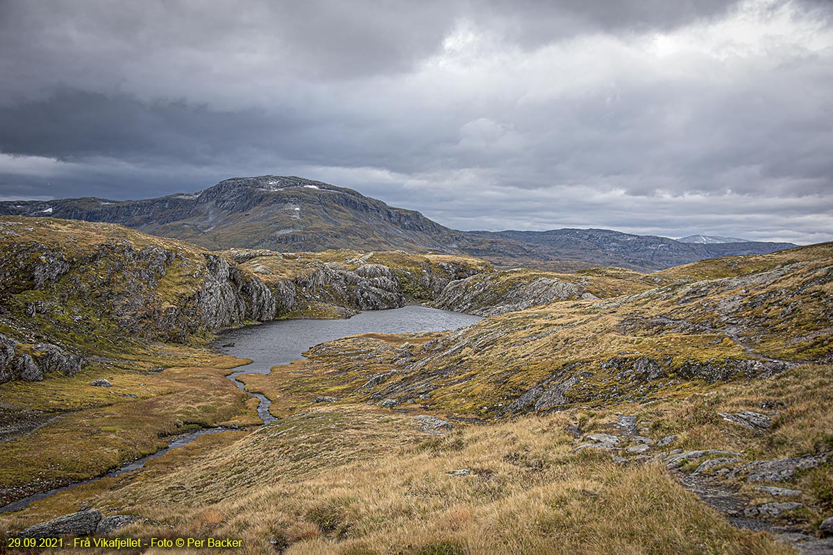 Frå Vikafjellet