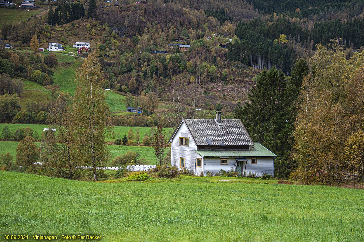 Vinjahagen