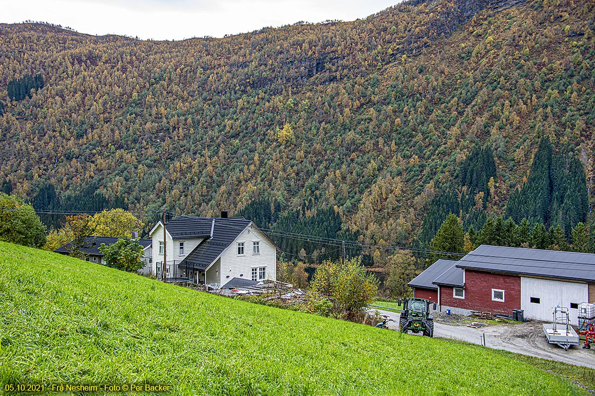 Frå Nesheim