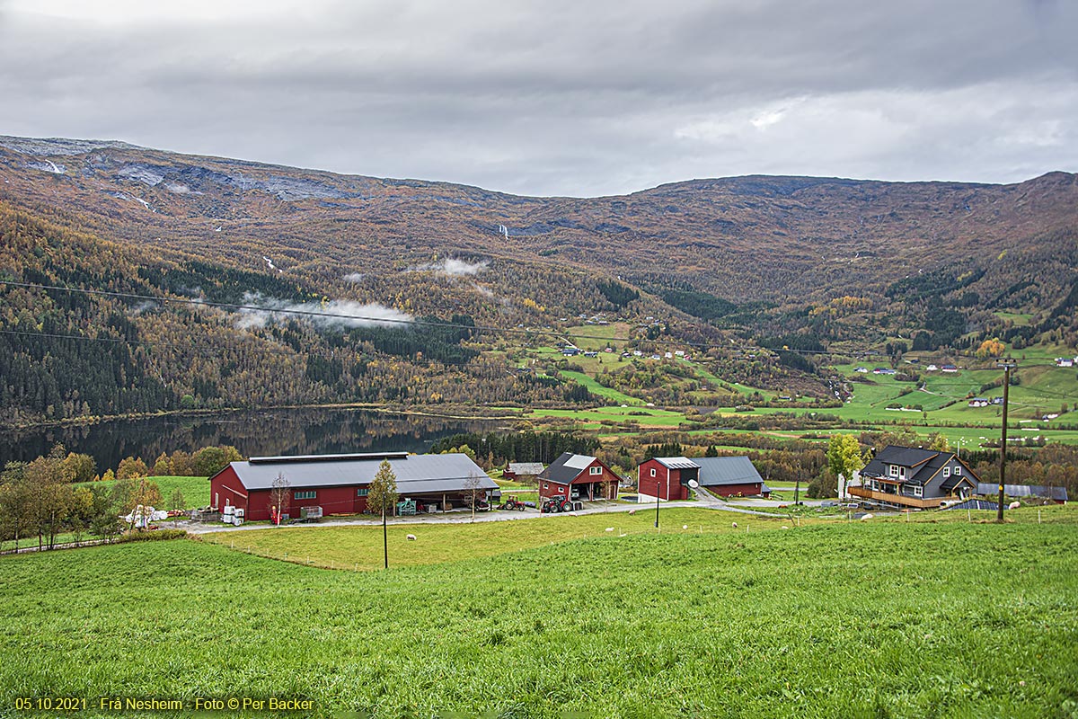 Frå Nesheim