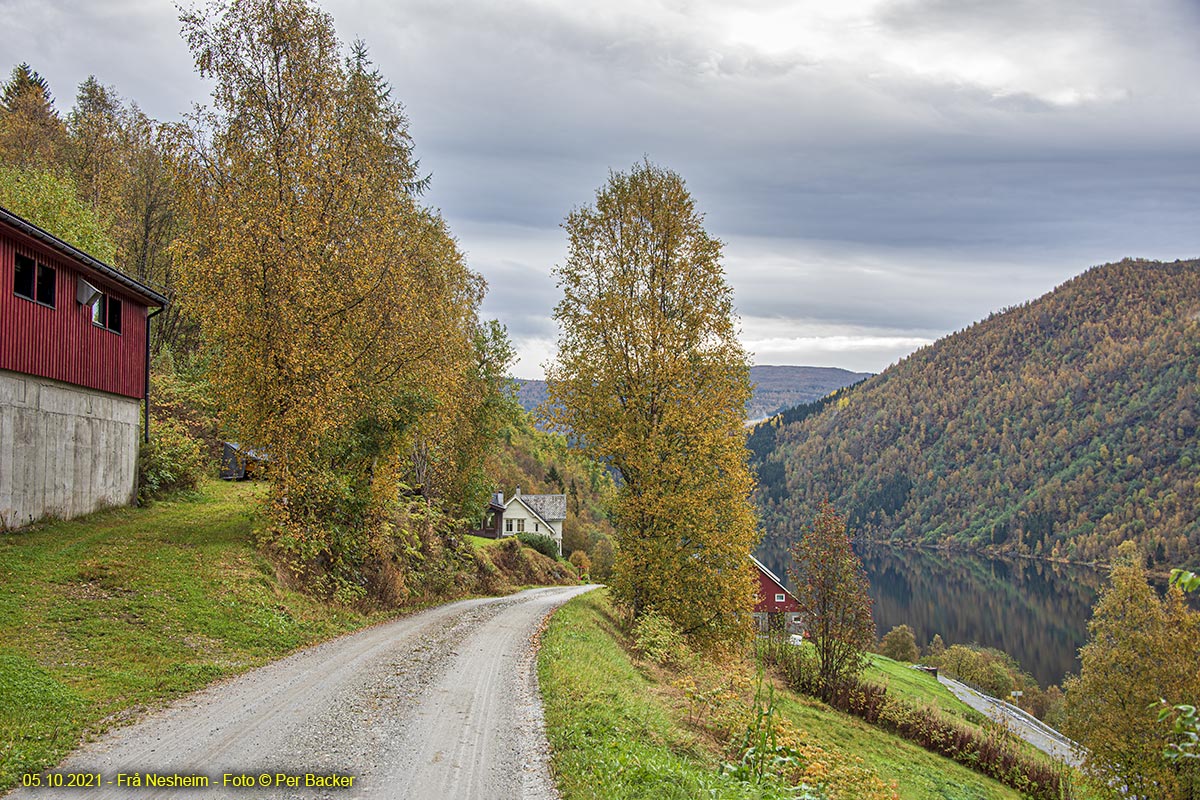 Frå Nesheim