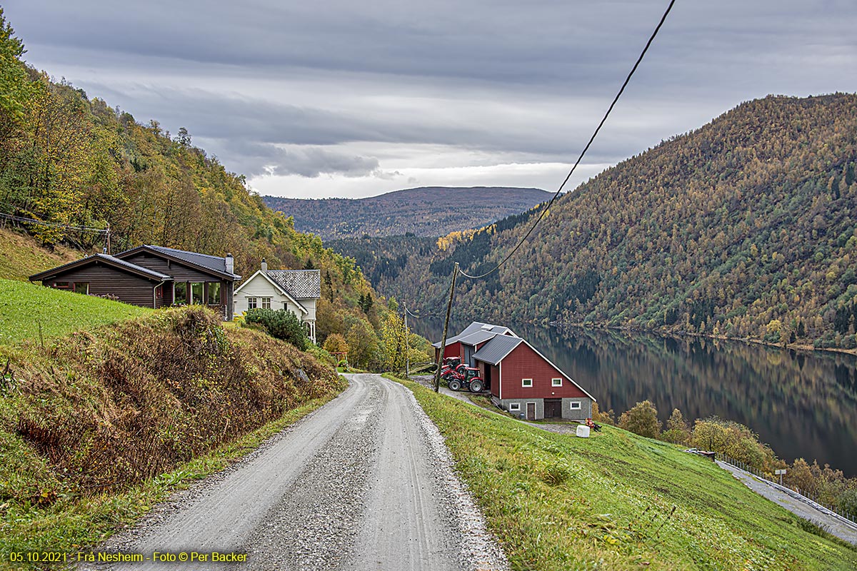 Frå Nesheim