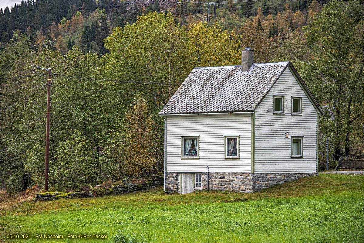 Frå Nesheim