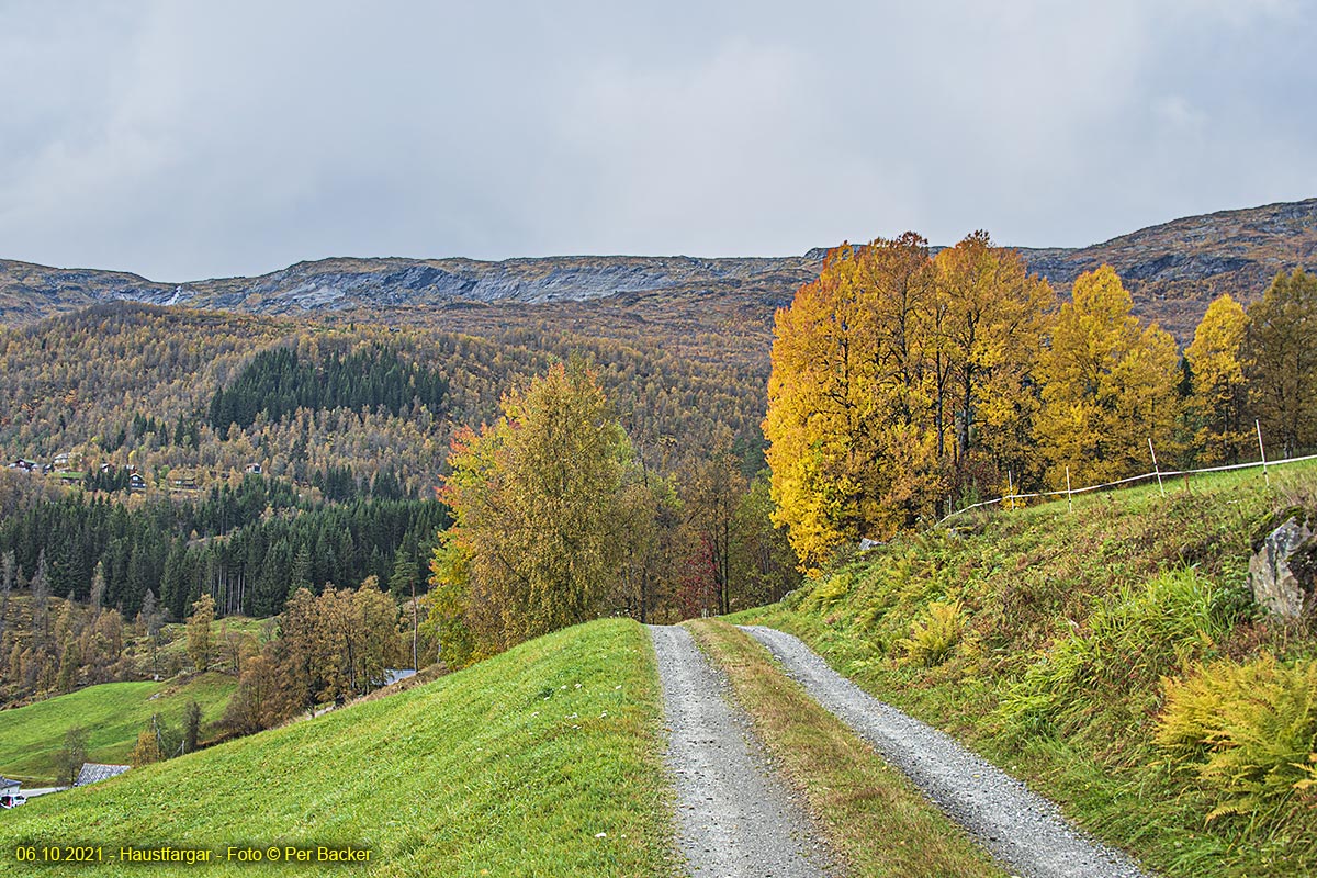 Haustfargar