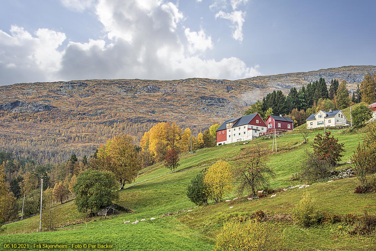 Frå Skjervheim