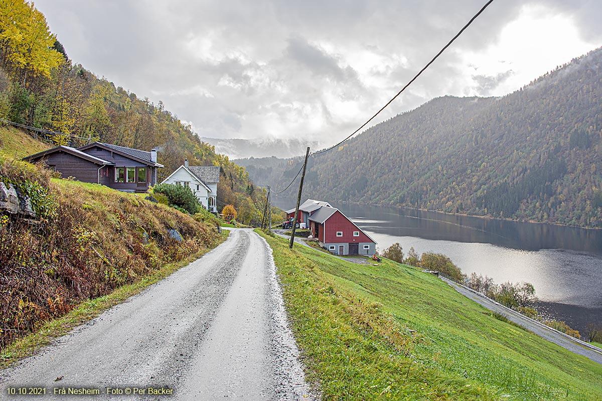 Frå Nesheim