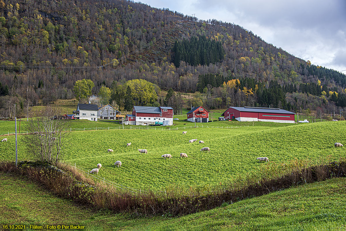 Flåten