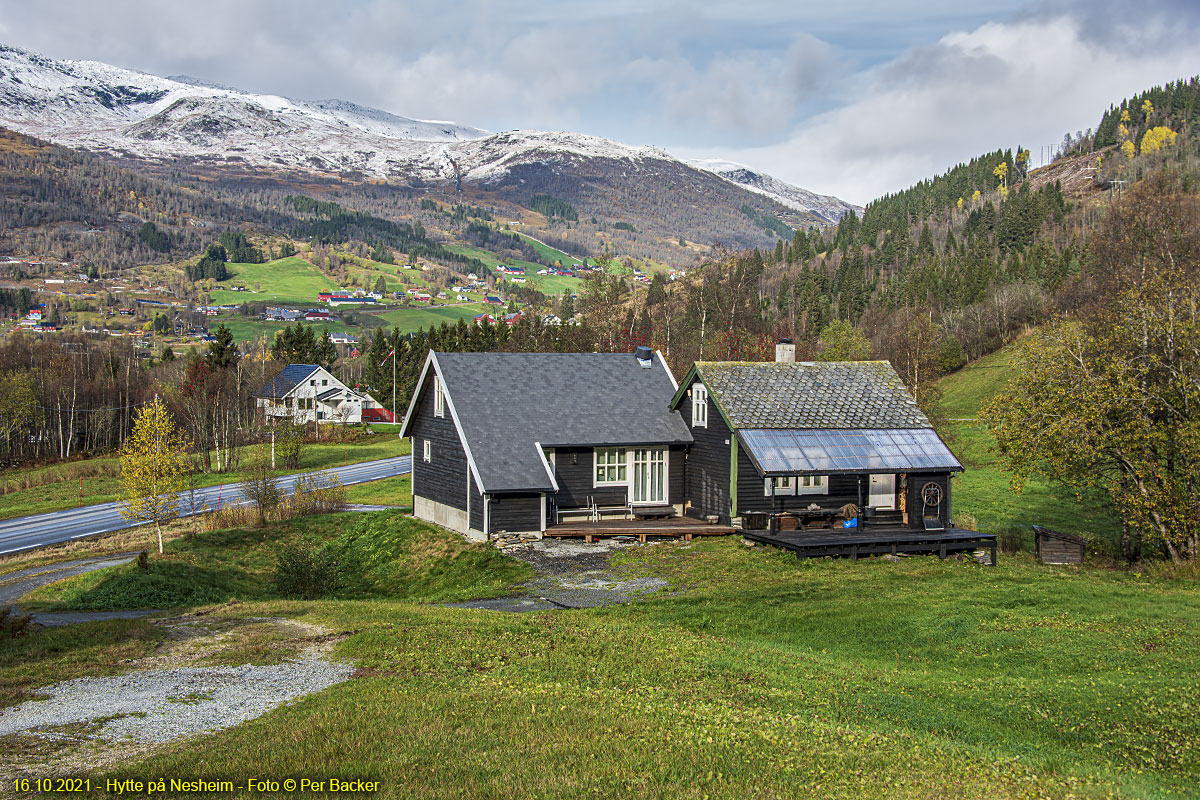 Hytte på Nesheim