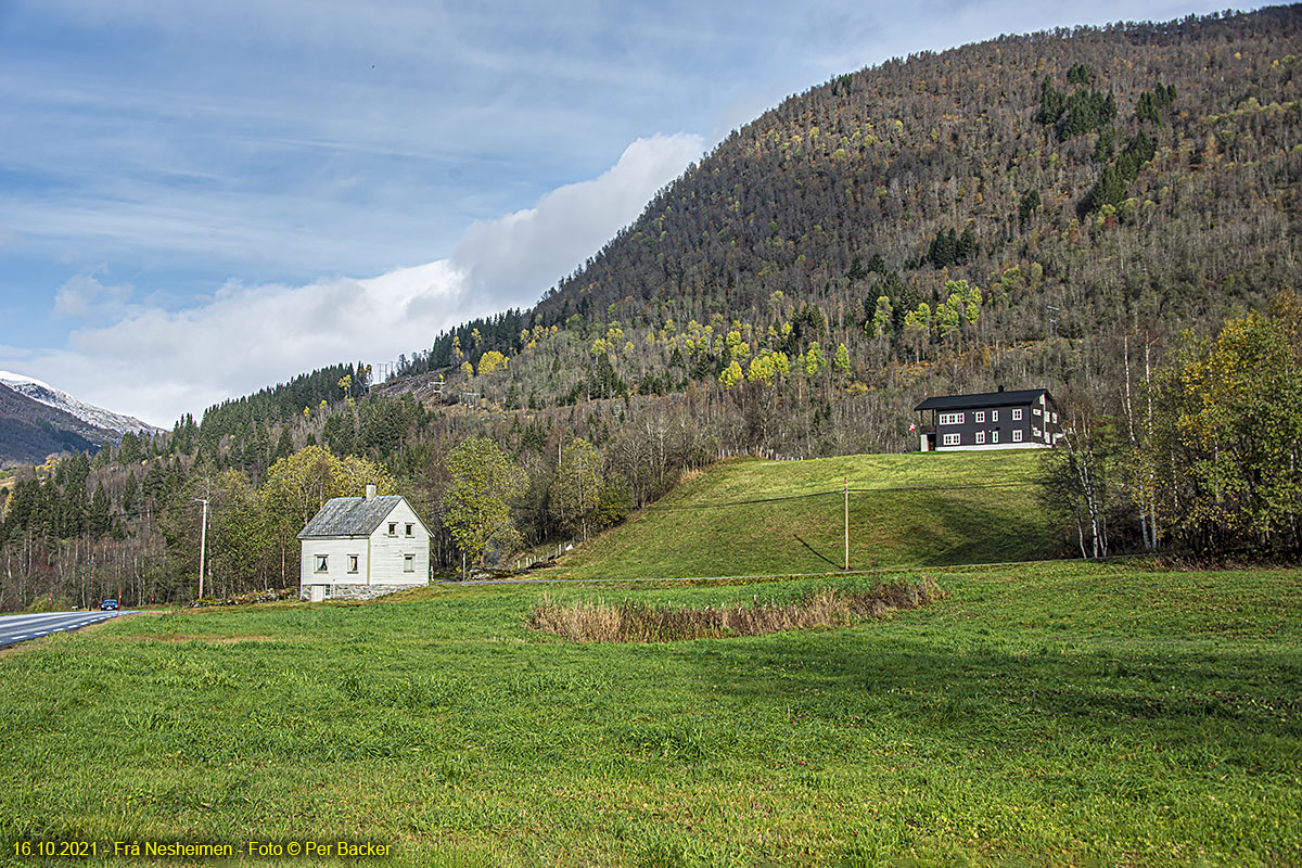 Frå Nesheim