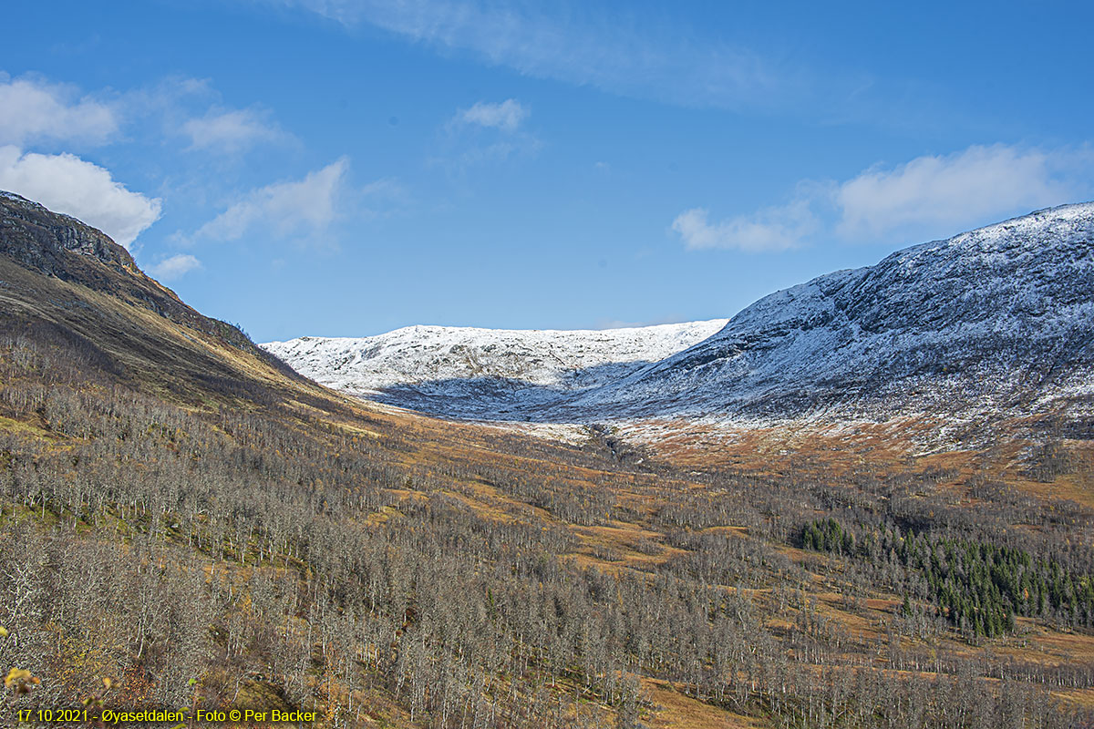 Øyasetdalen