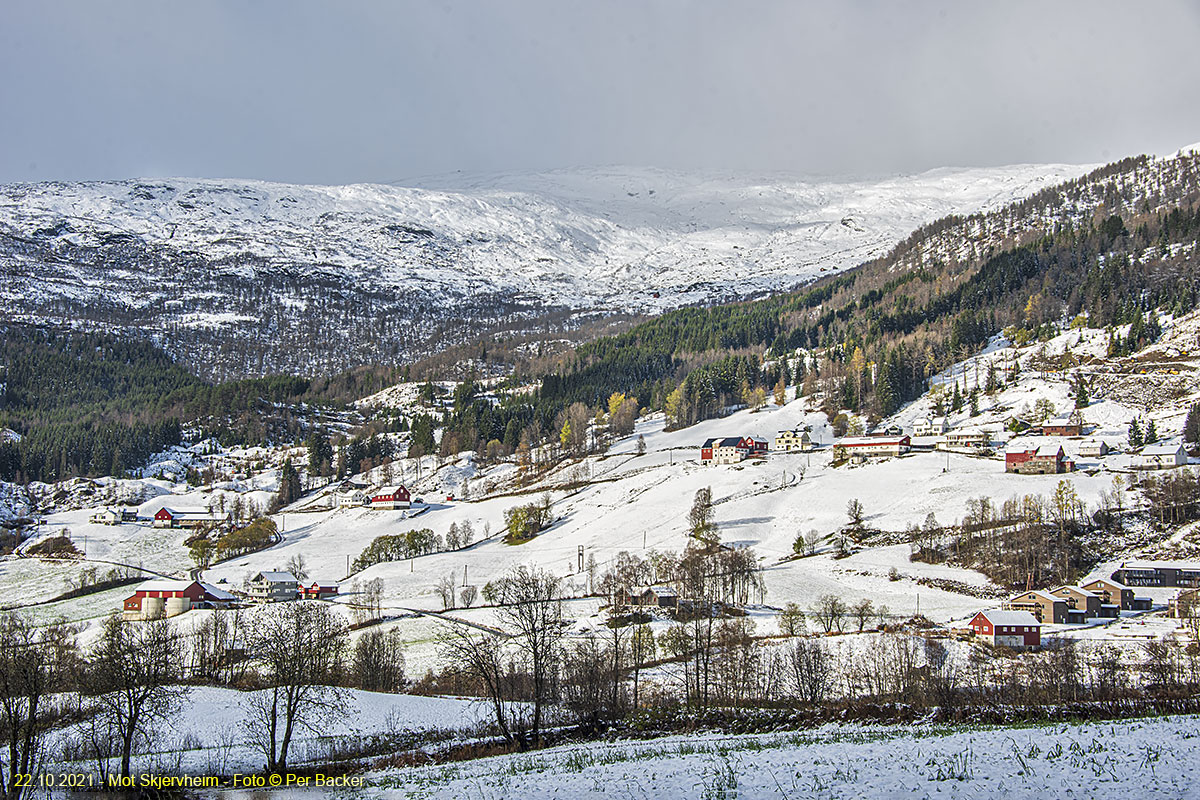 Mot Skjervheim