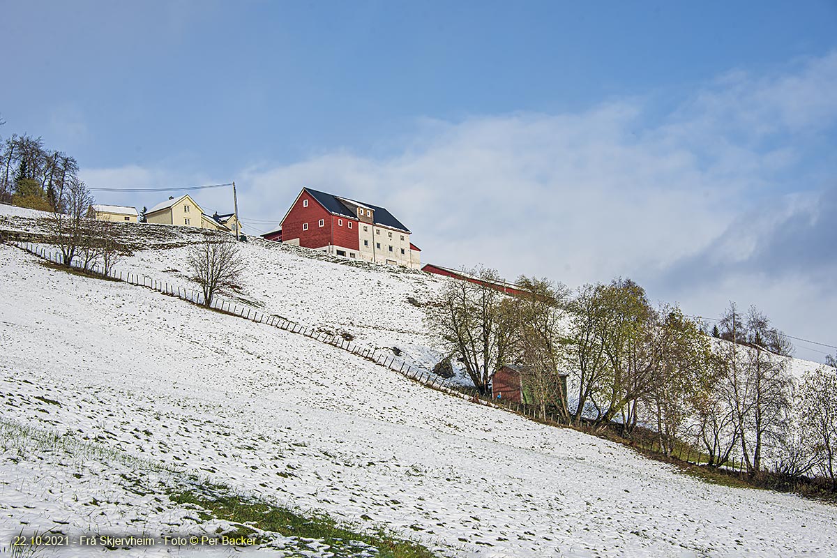 Frå Skjervheim