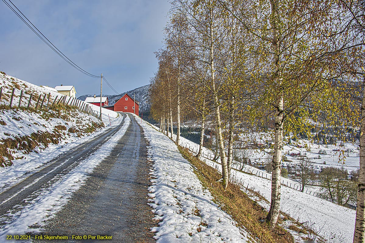 Frå Skjervheim