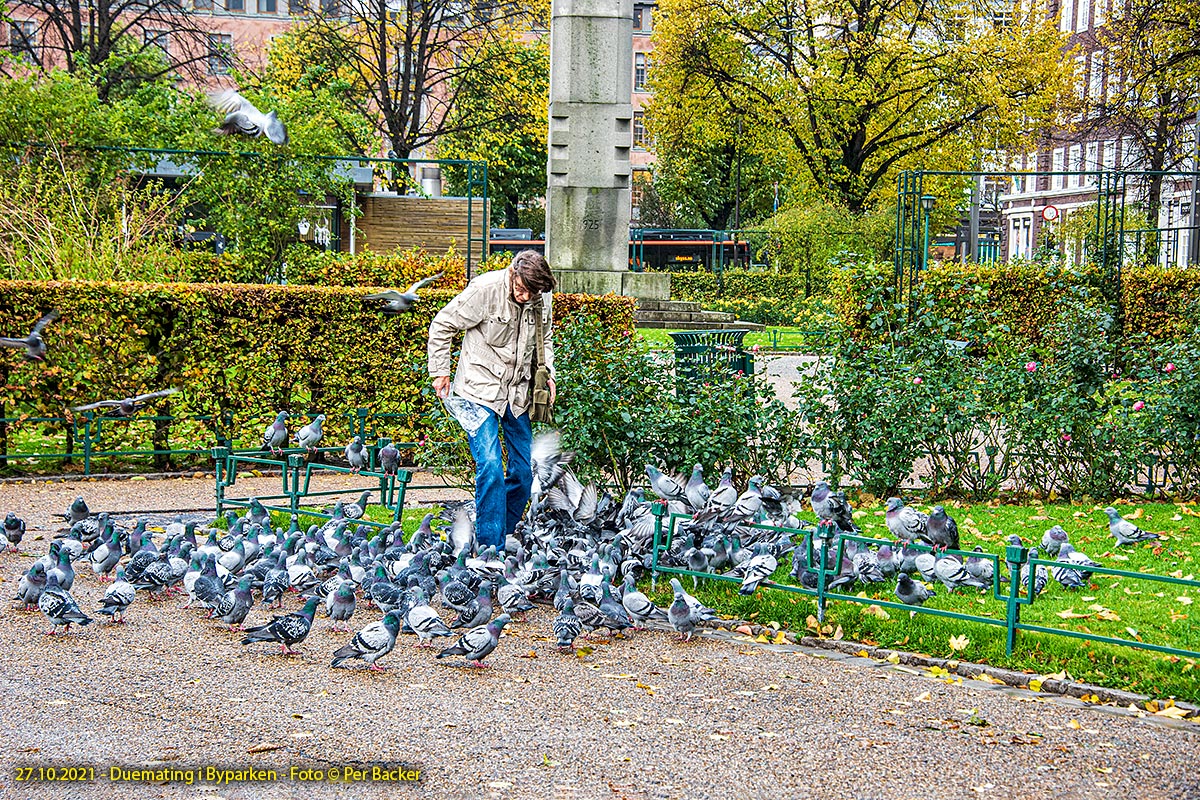 Duemating i Byparken