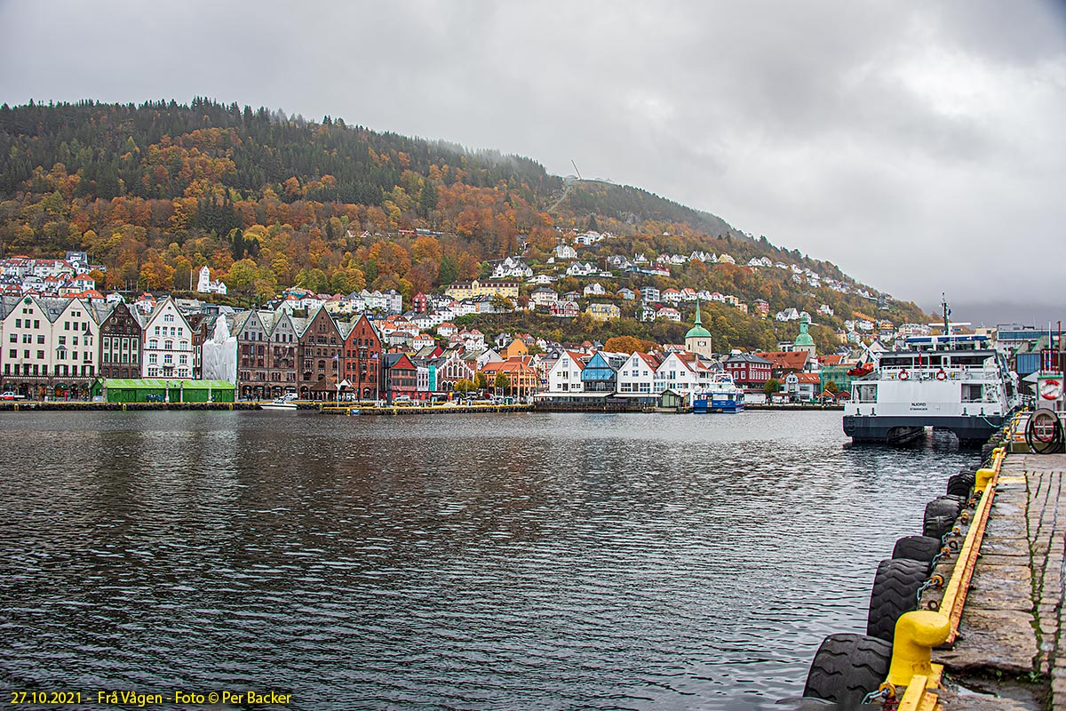 Vågen