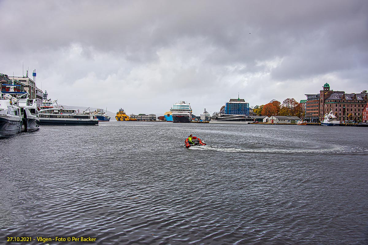 Vågen