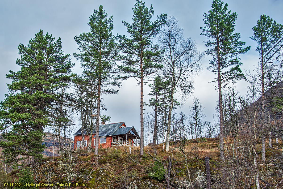 Hytte på Øyaset