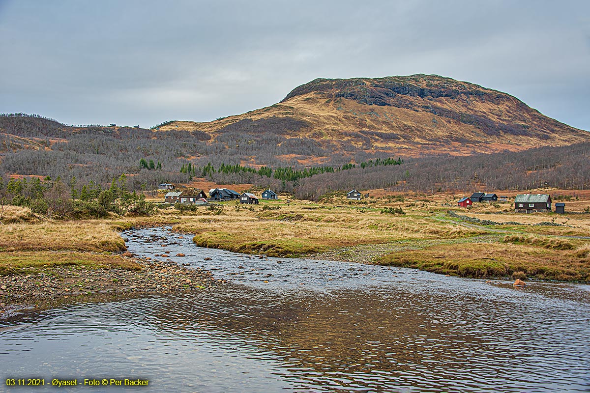 Øyaset