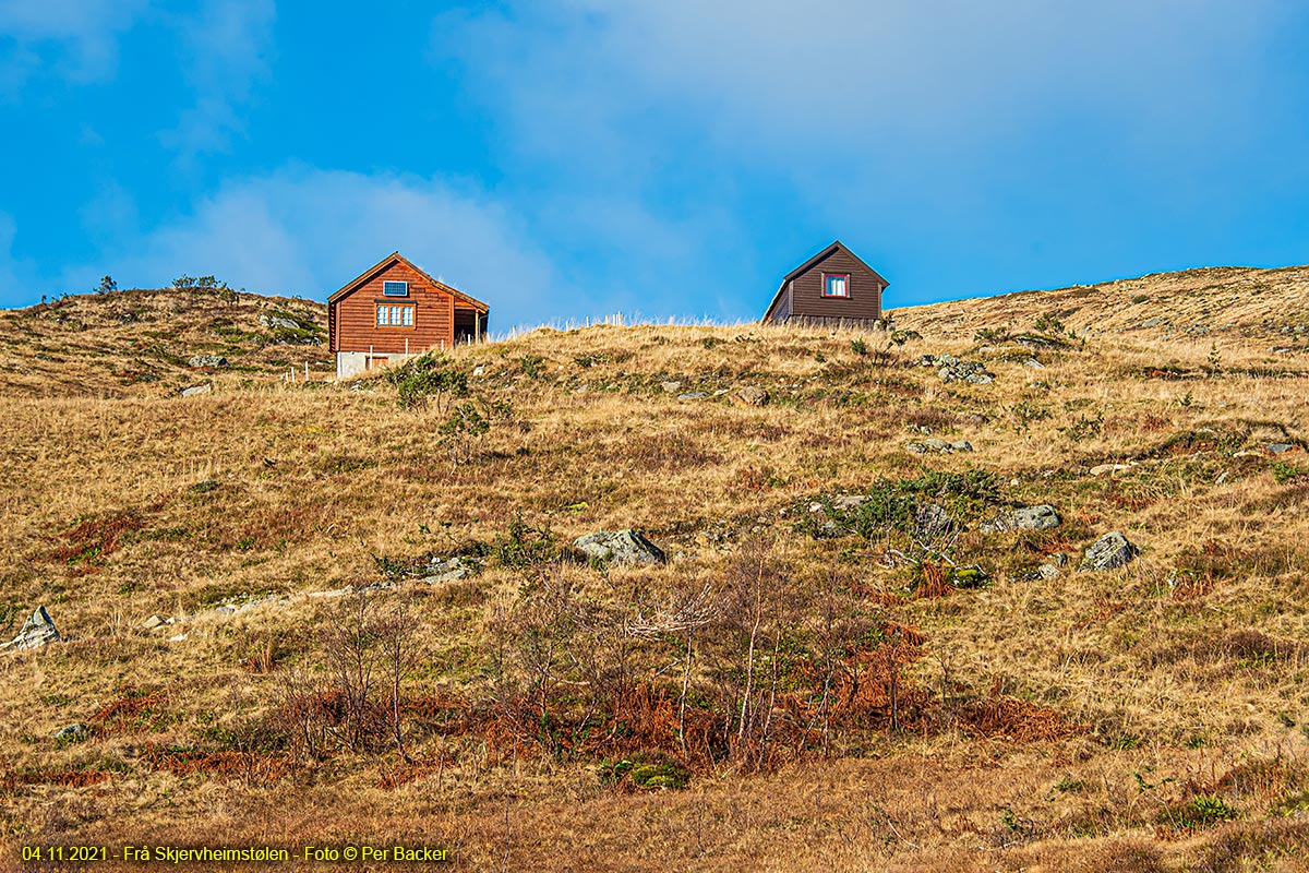 Frå Skjervheimstølen