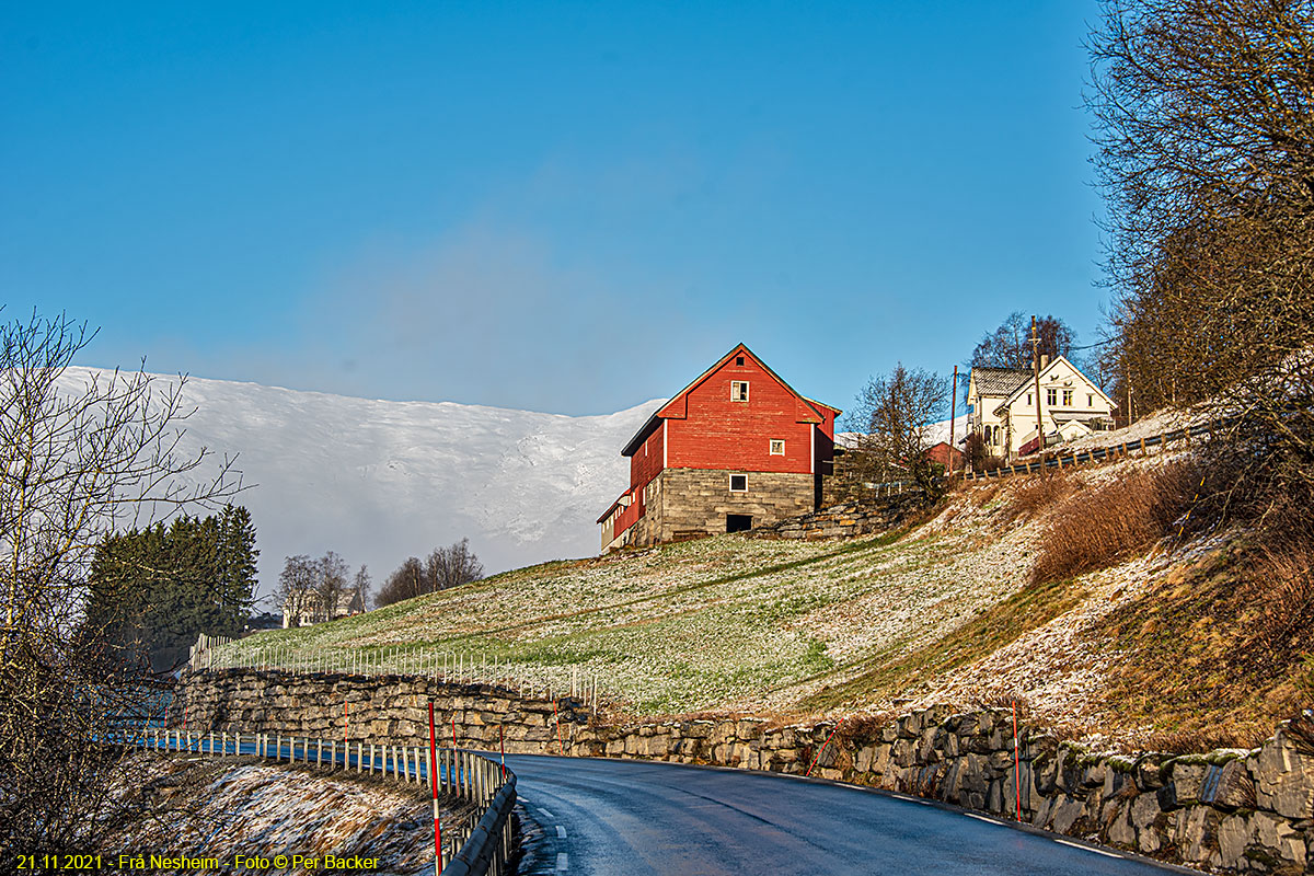 Frå Nesheim