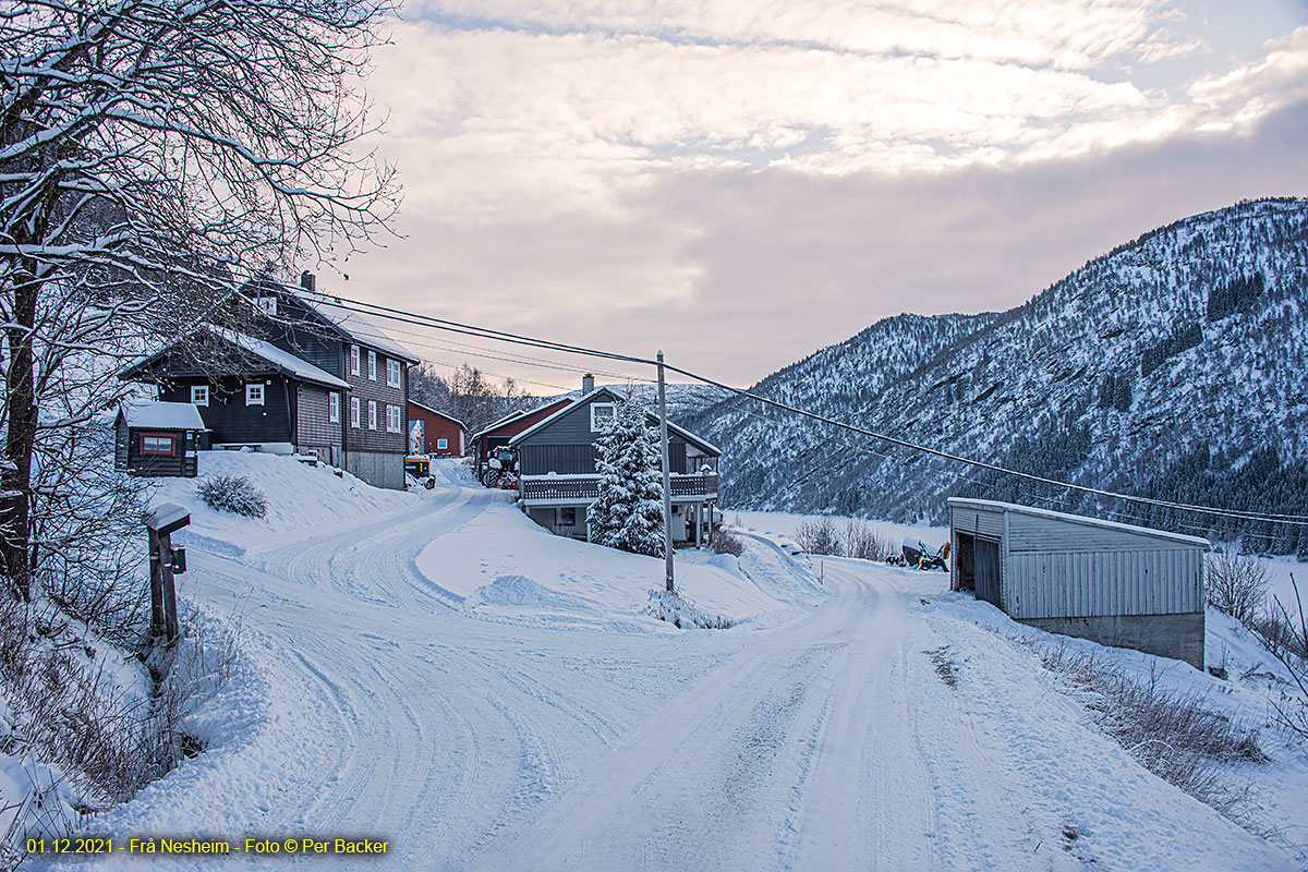 Frå Nesheim