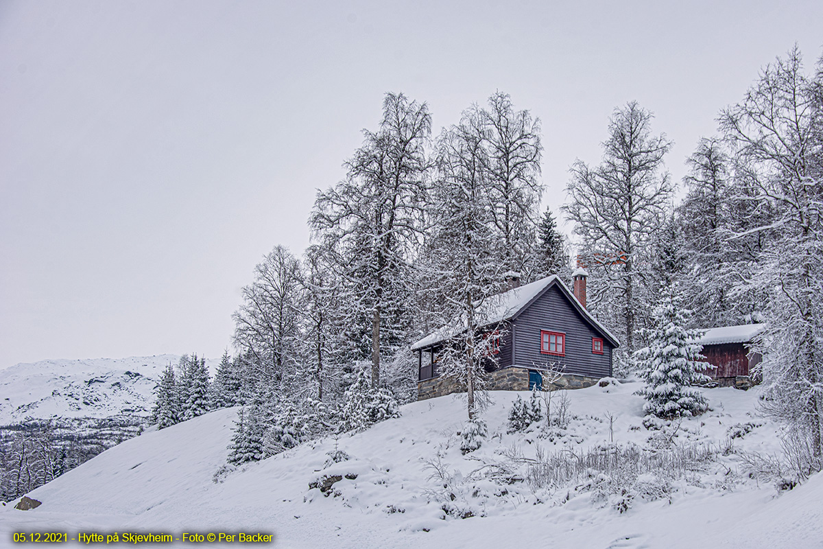 Hytte på Skjervheim