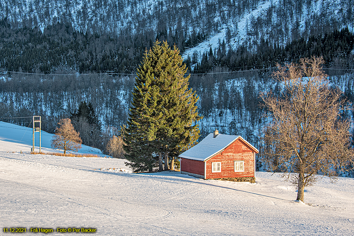 Frå Hagen