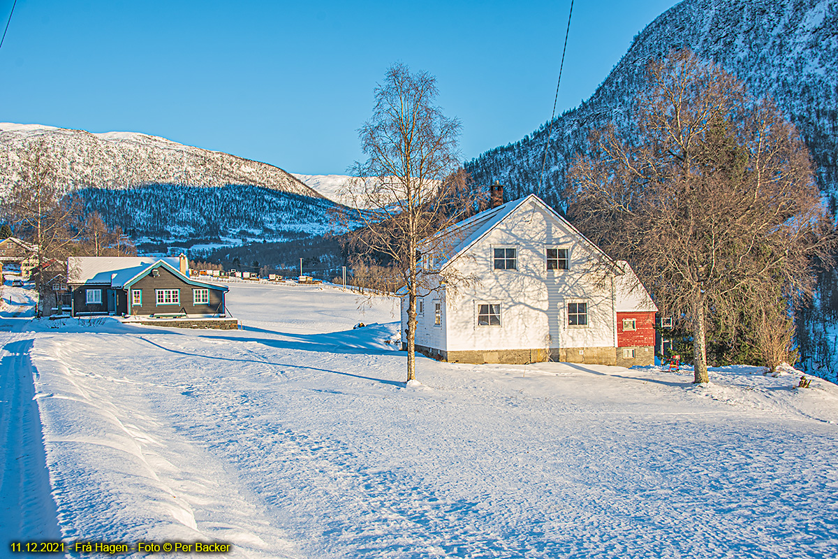 Frå Hagen