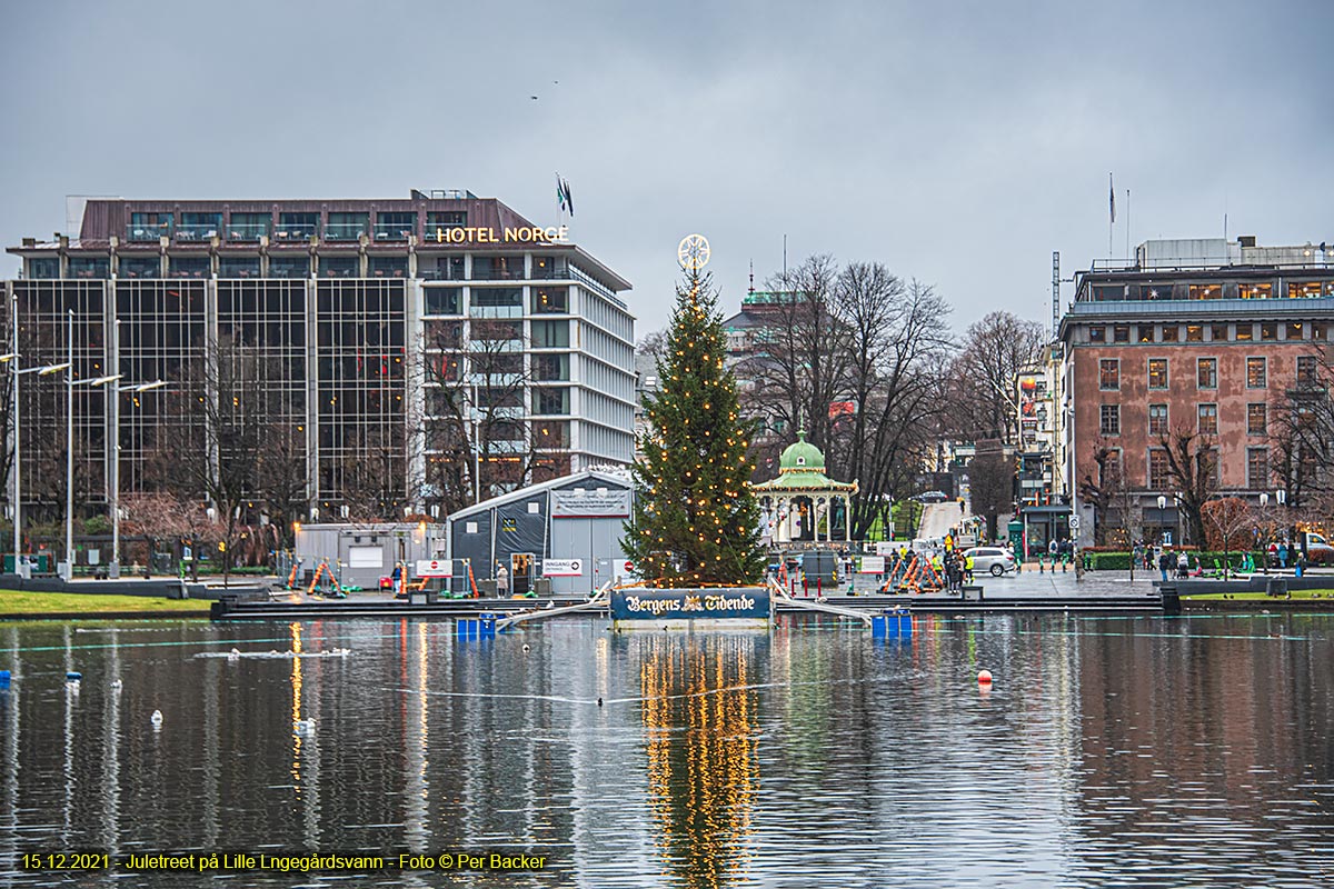 Juletreet på Lille Lungegårdsvann