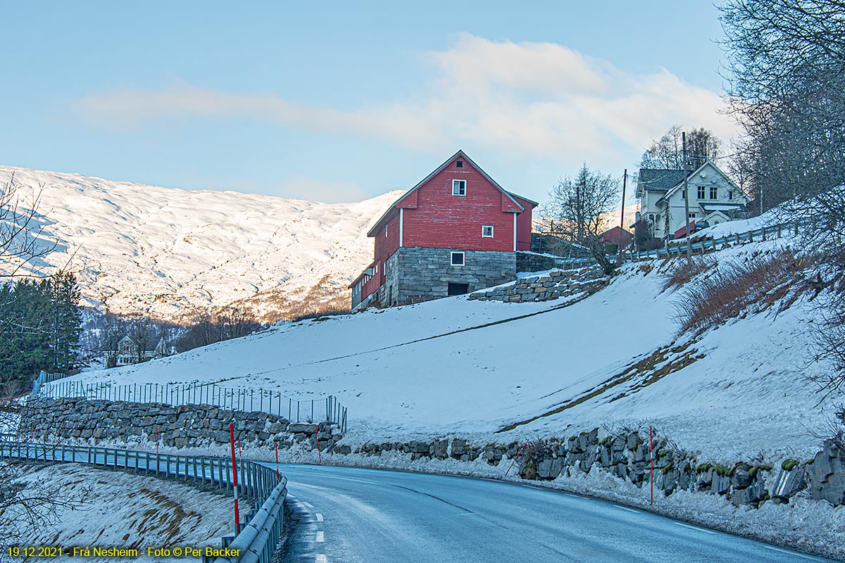 Frå Nesheim