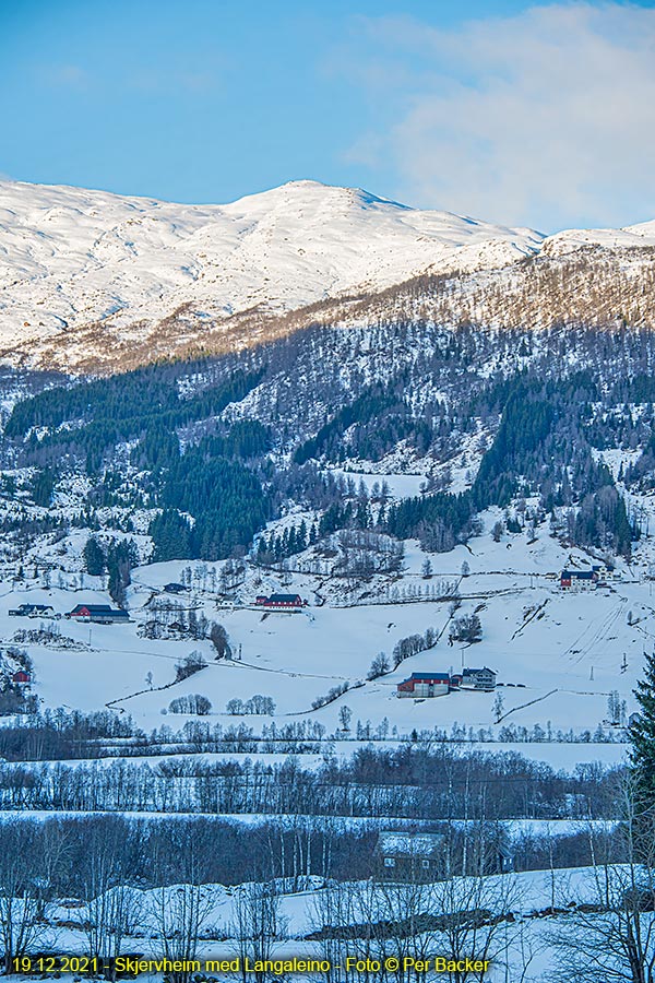 Skjervheim med Langaleino