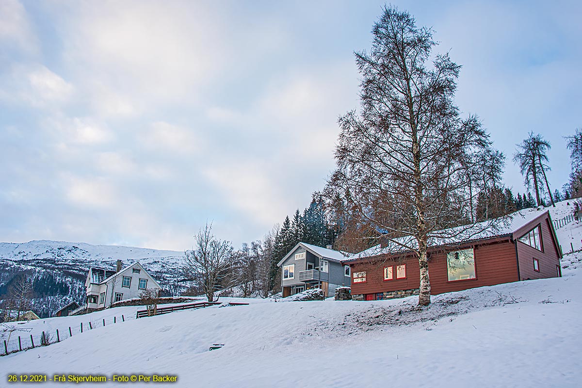 Frå Skjervheim