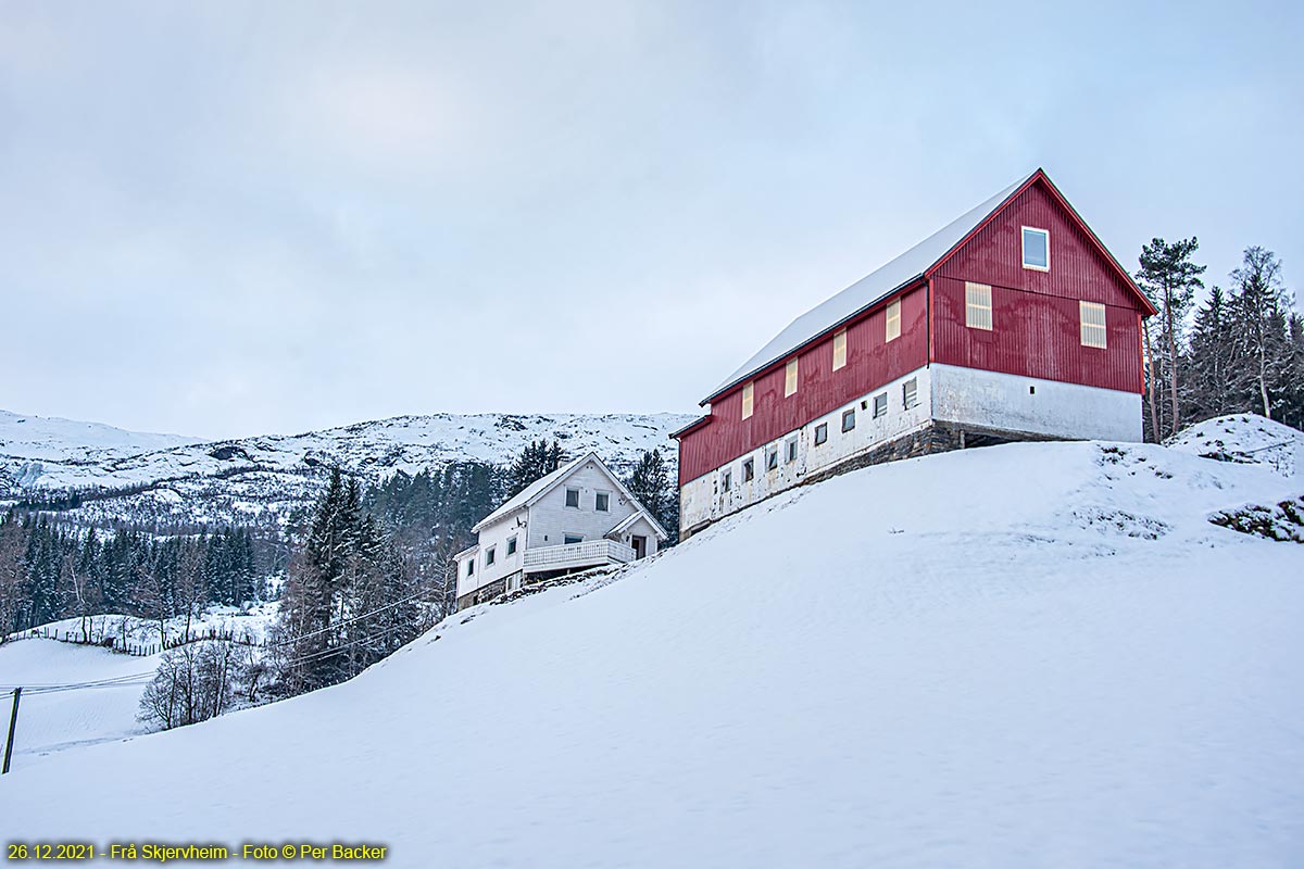 Frå Skjervheim