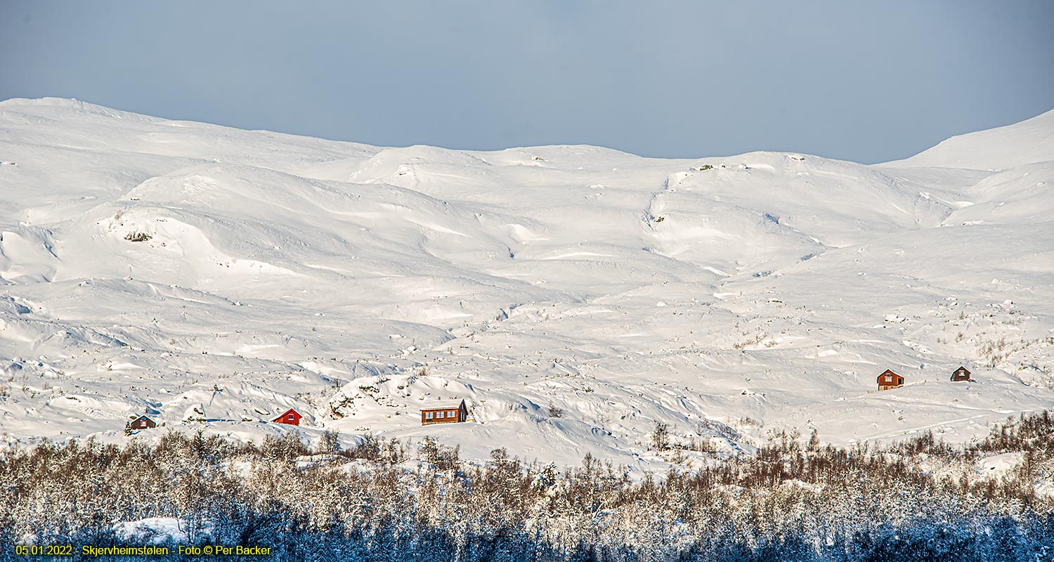 Skjervheimstølen