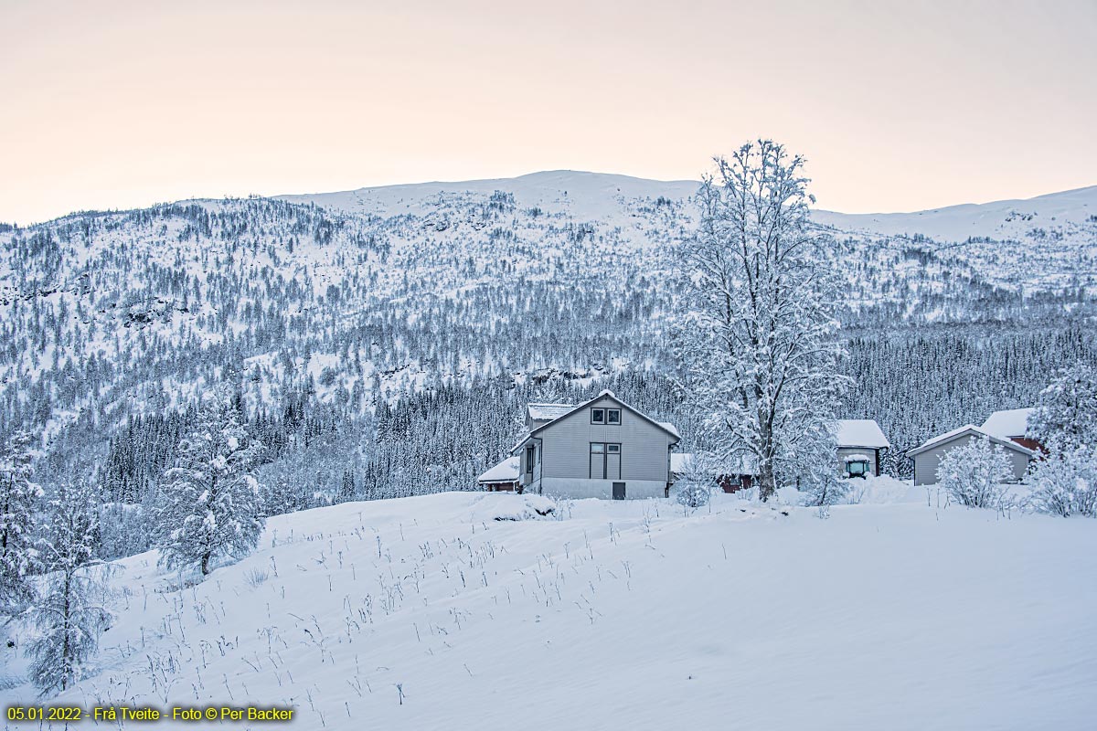 Frå Tveite