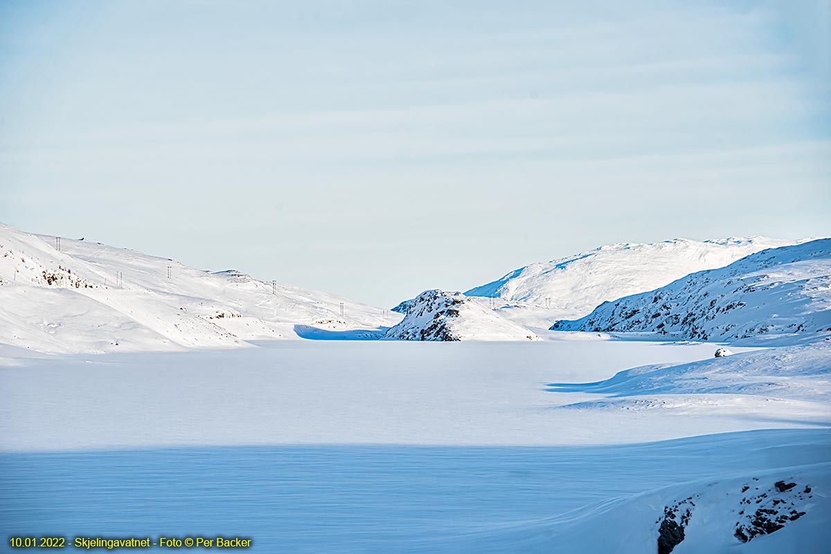 Skjelingavatnet