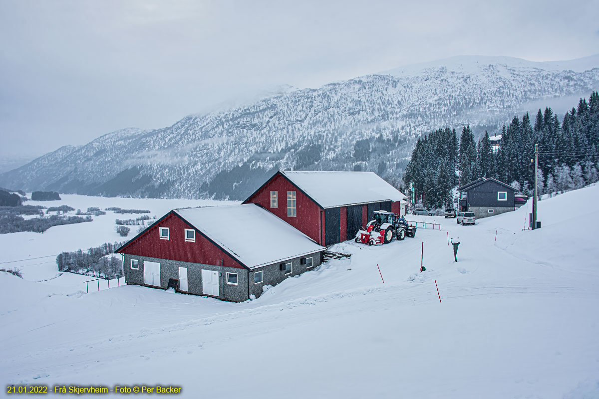 Frå Skjervheim