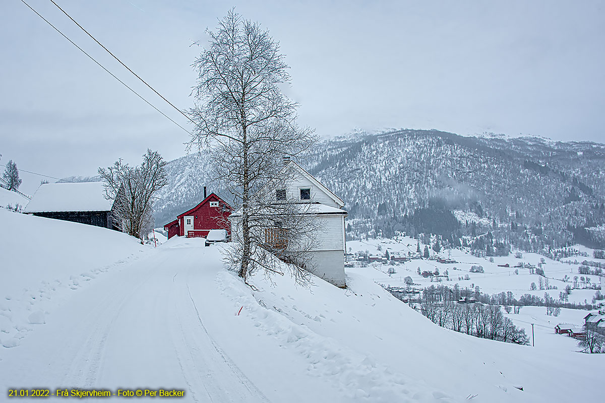 Frå Skjervheim