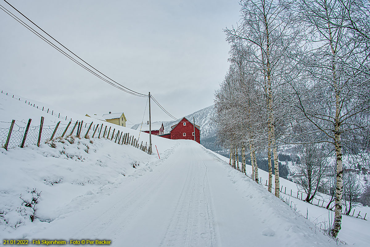 Frå Skjervheim