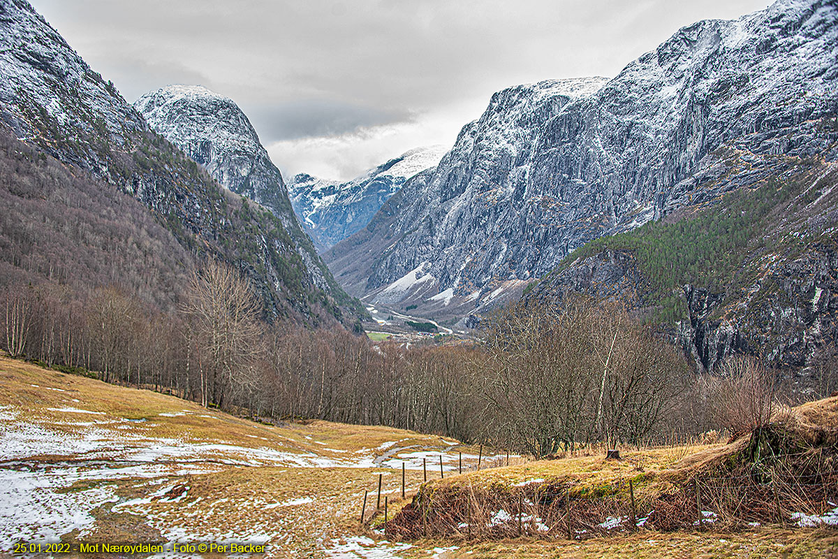 Mot Nærøydalen