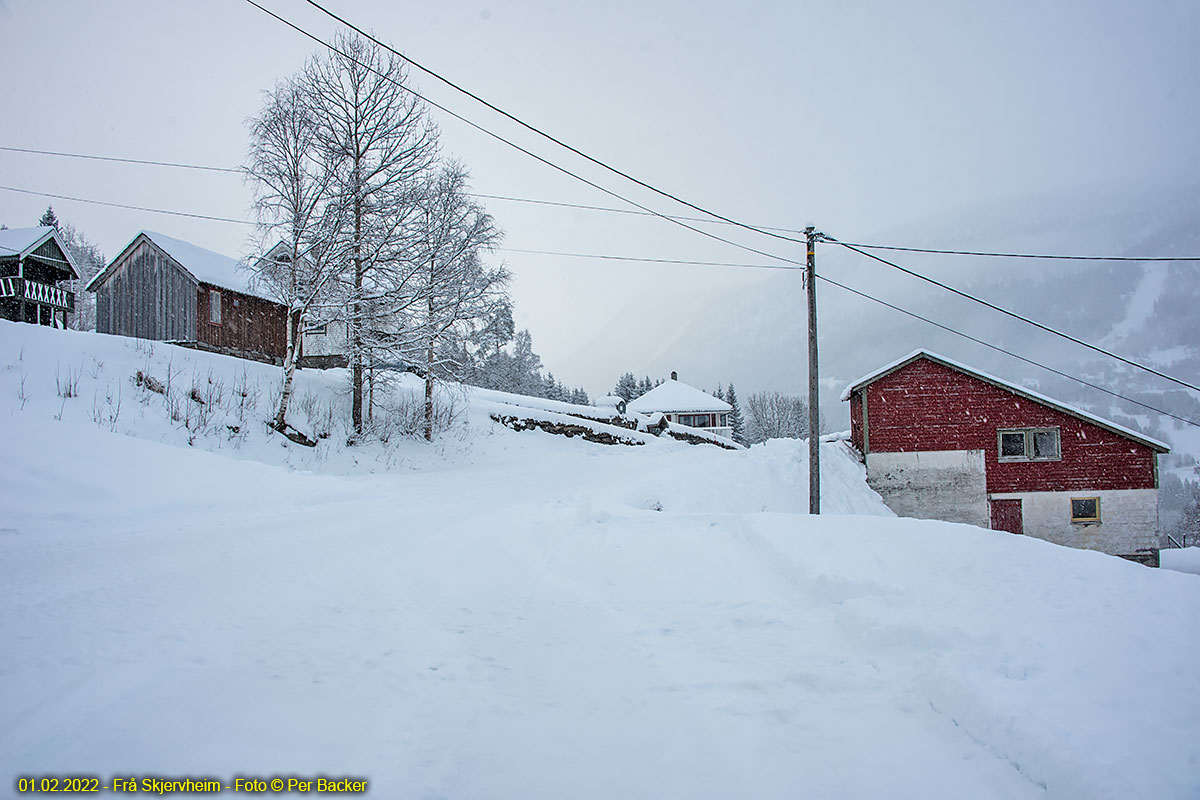 Frå Skjervheim