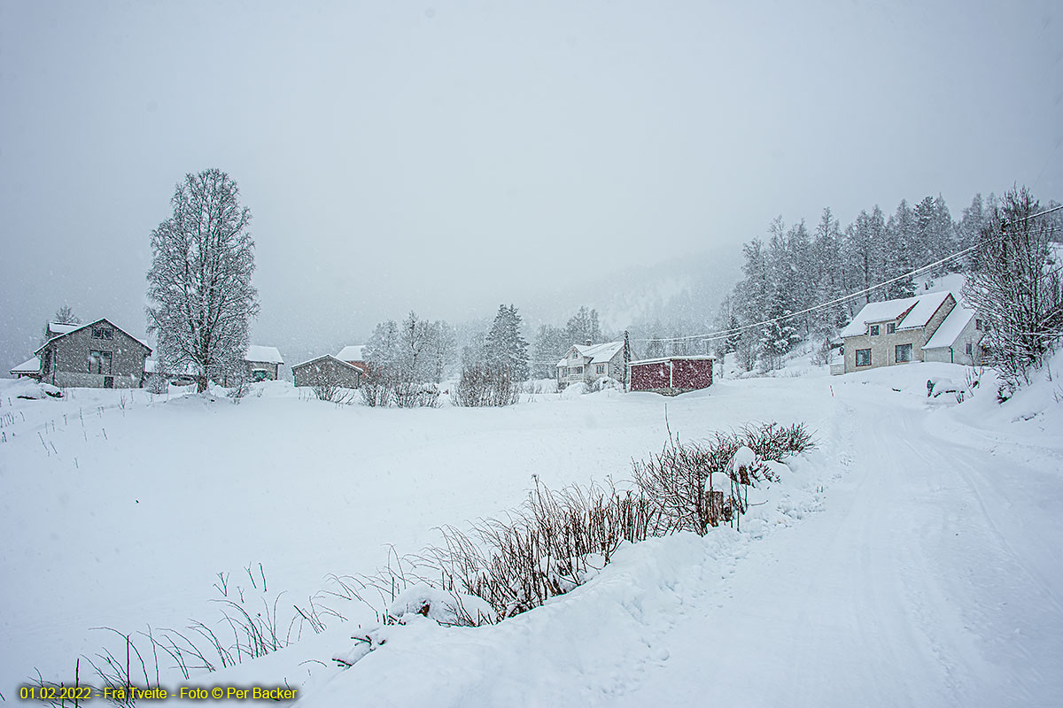 Frå Tveite