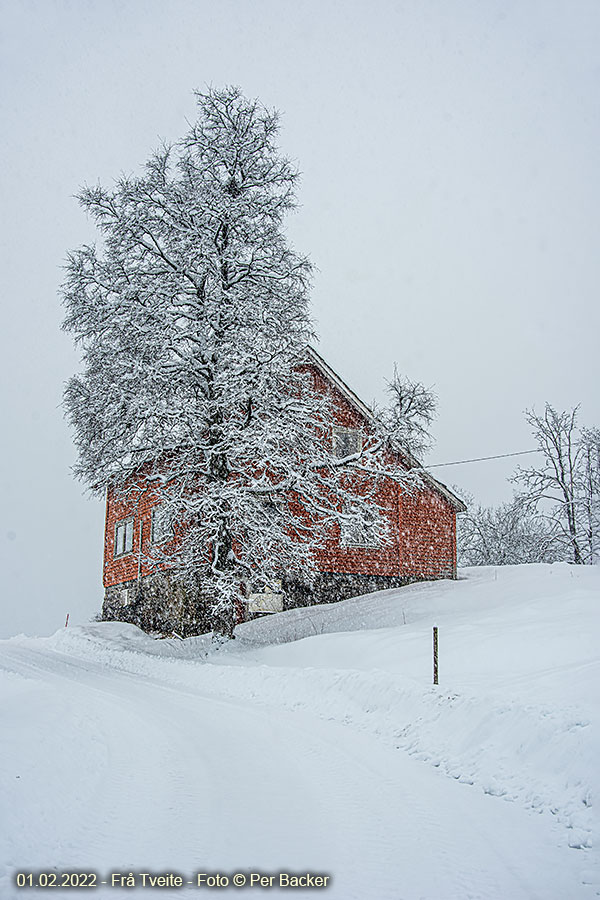 Frå Tveite