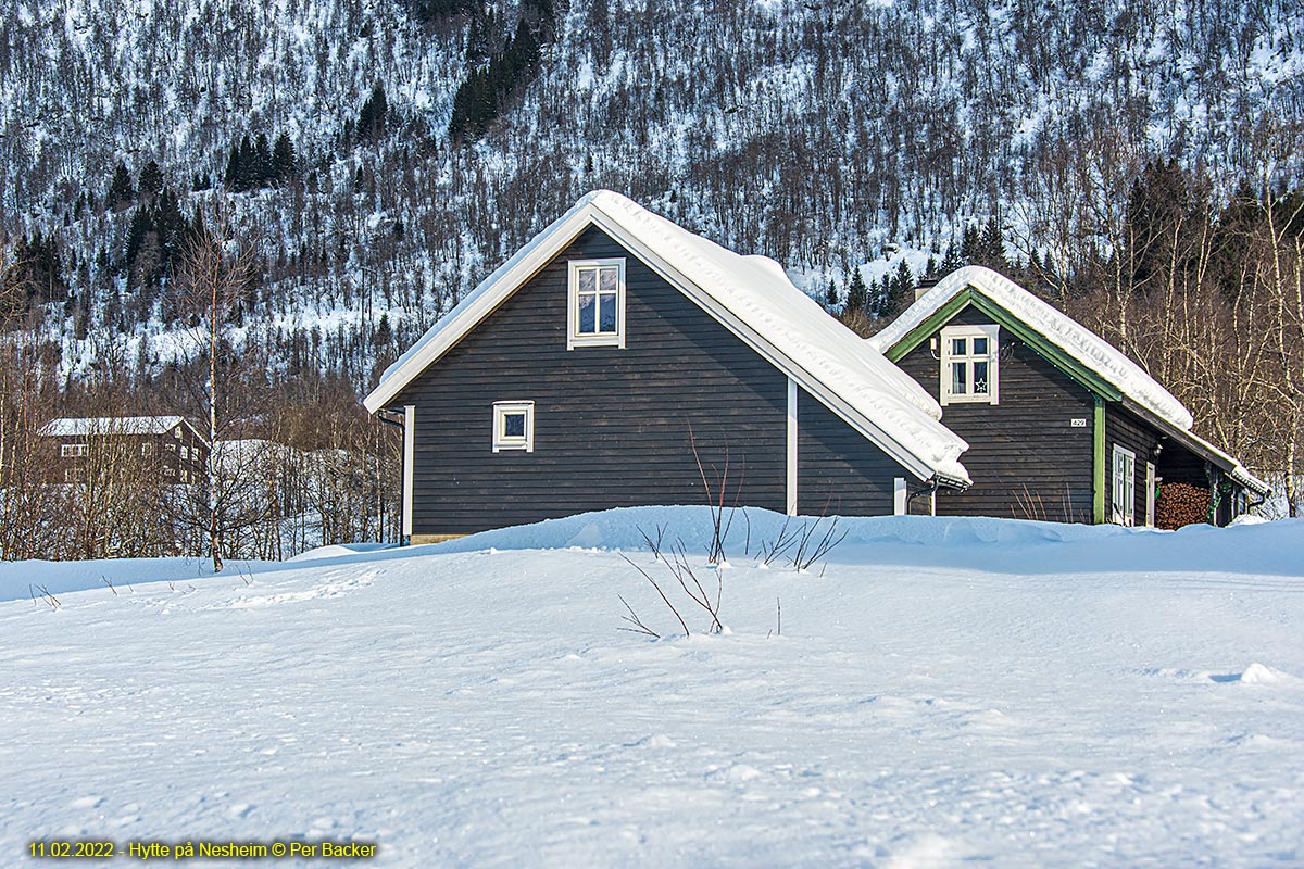 Hytte på Nesheim