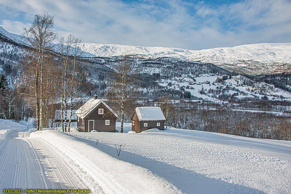 Hytte i Nesheimshagen