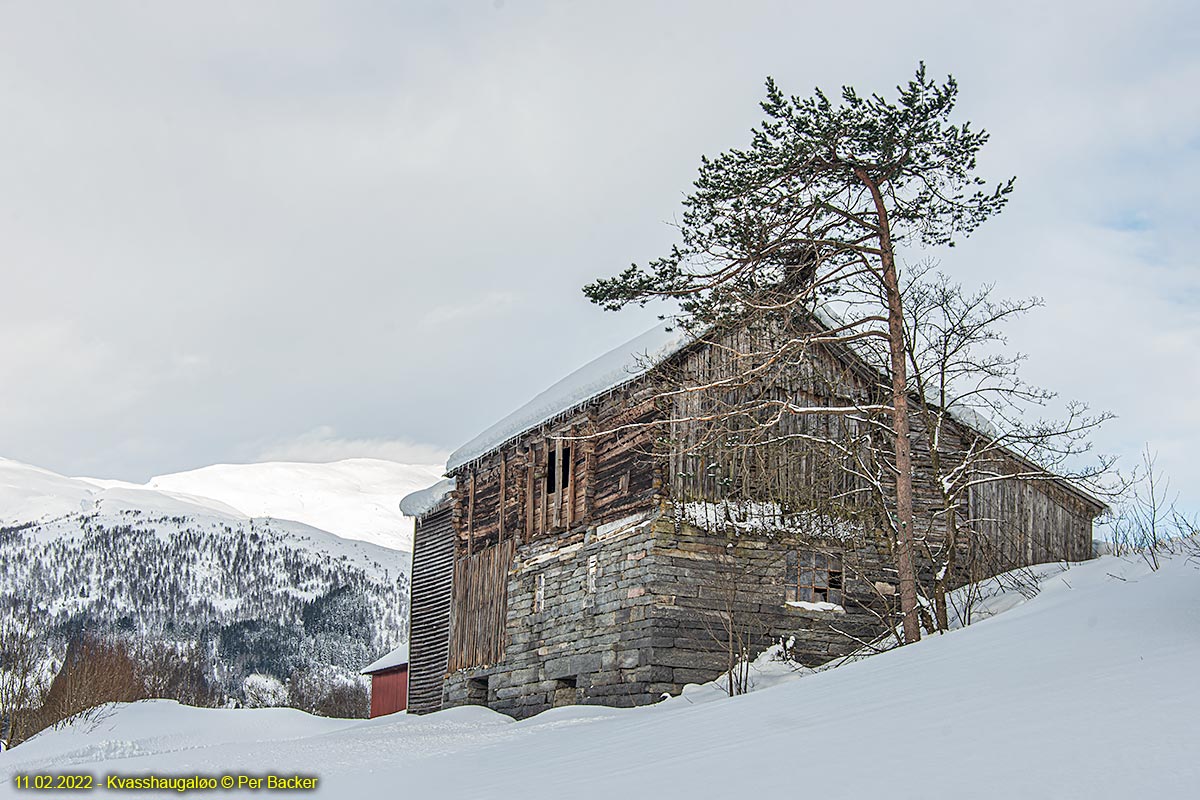 Kvasshaugaløo