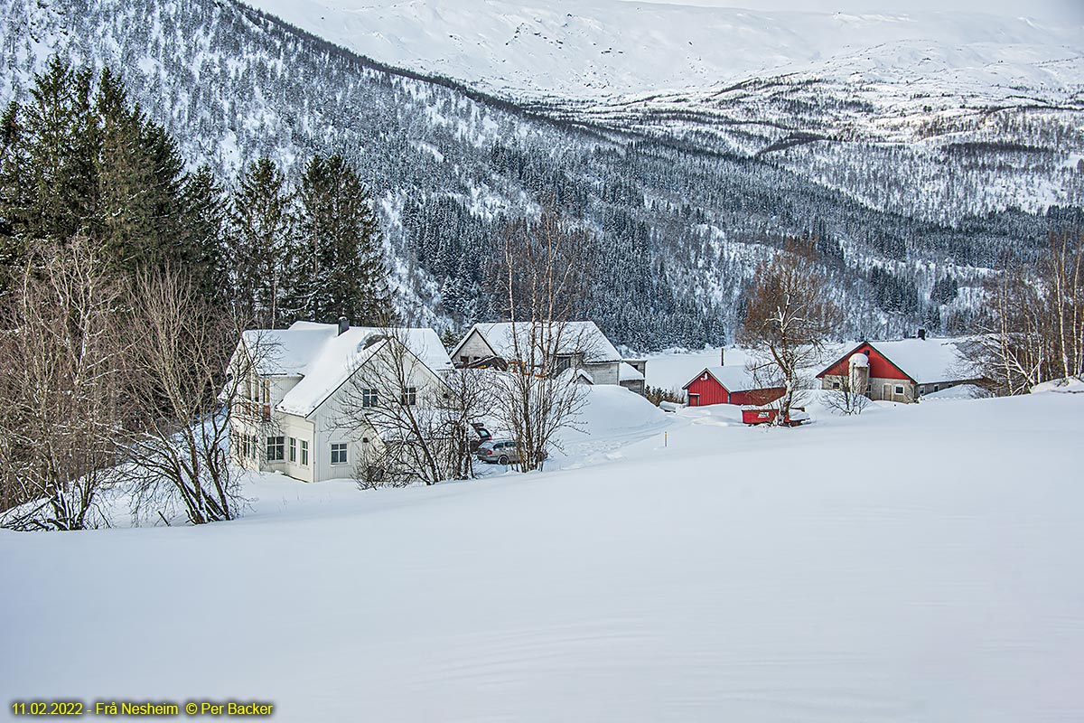  Frå Nesheim