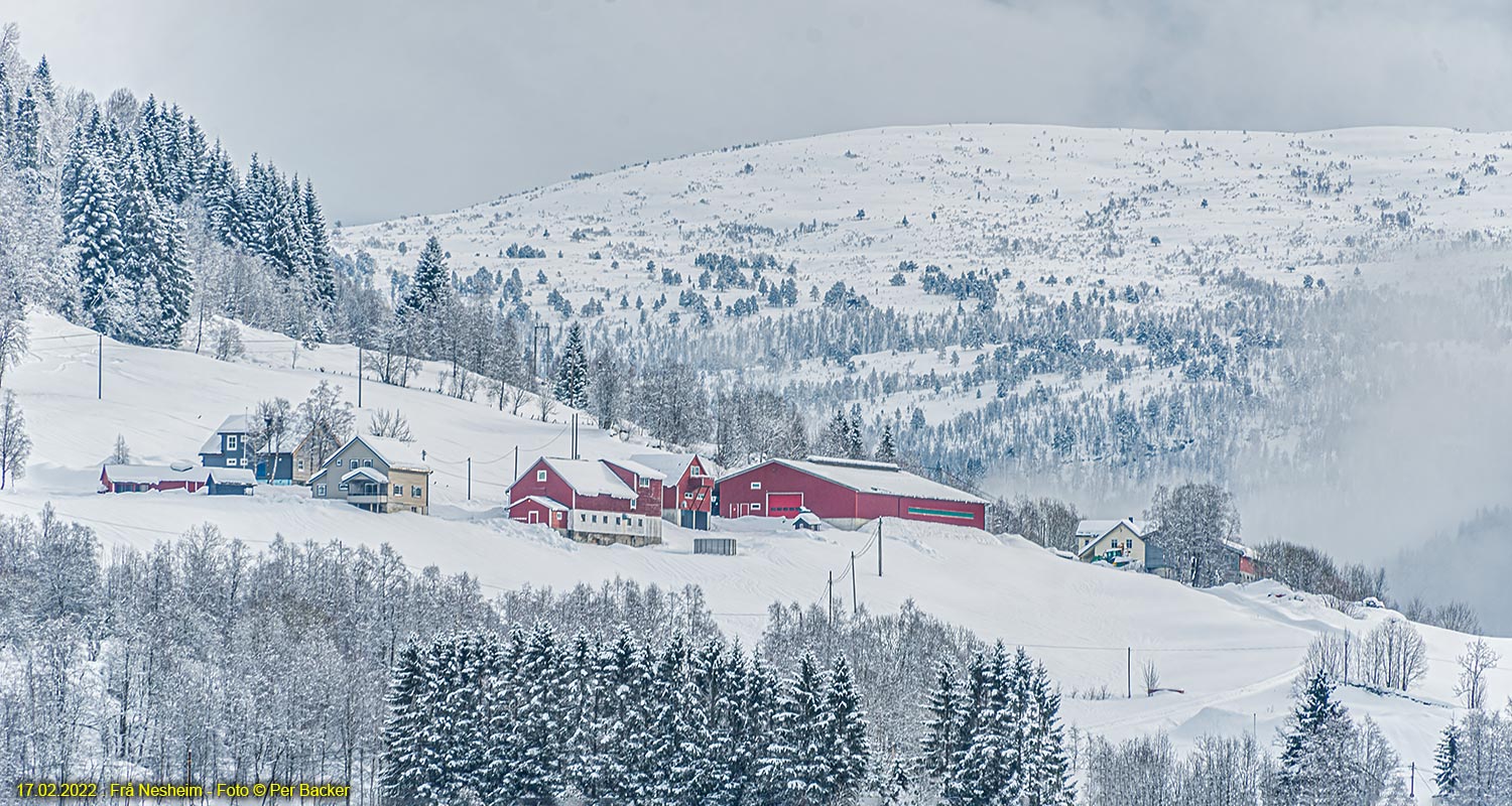 Frå Nesheim