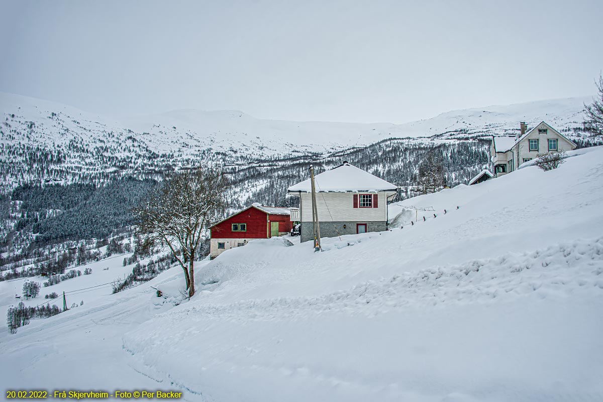 Frå Skjervheim